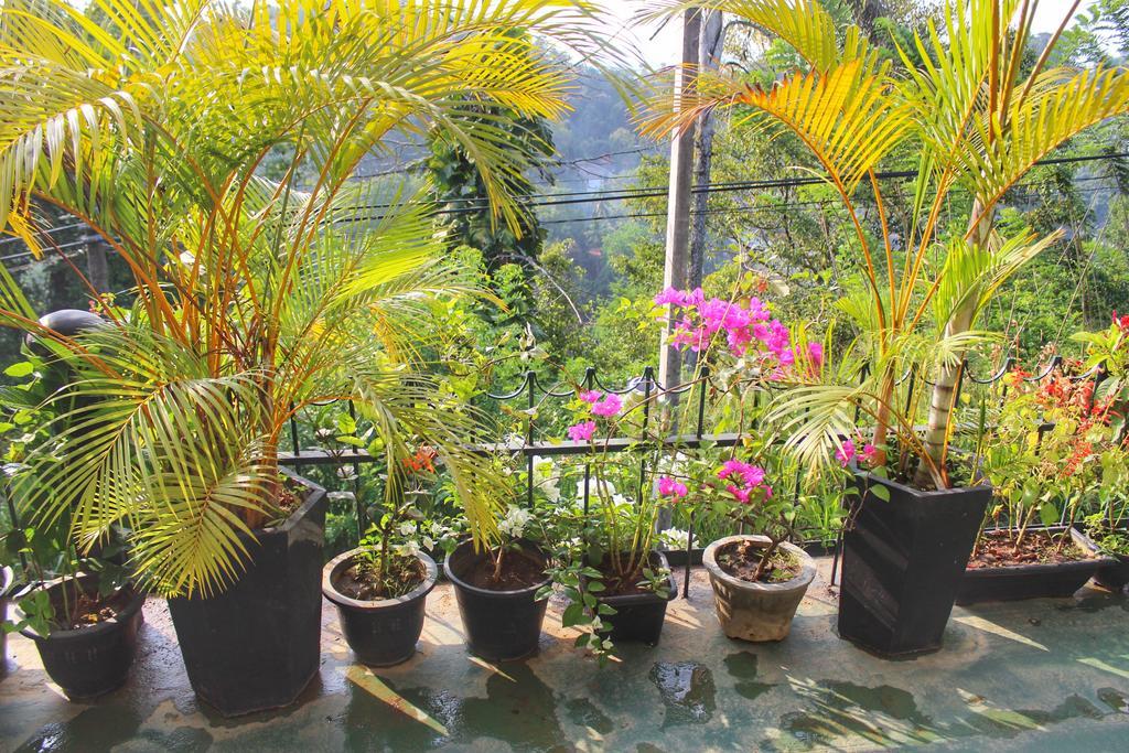 Yes Paradise Kandy Ngoại thất bức ảnh